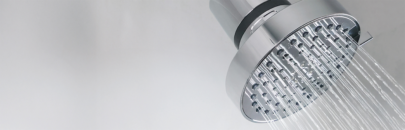 shower head water filter